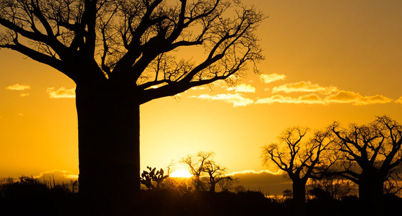 Luxury Madagascar Private Tours & Travel | All with Private Charter