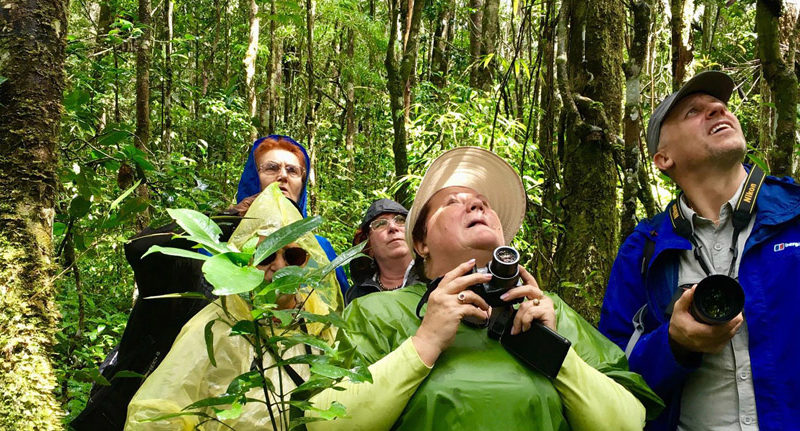 Madagascar tours for seniors over 50s best Madagascar hotel accommodations, MADAGASCAR small group tour of seniors, Madagascar tours for seniors, small group tours madagascar