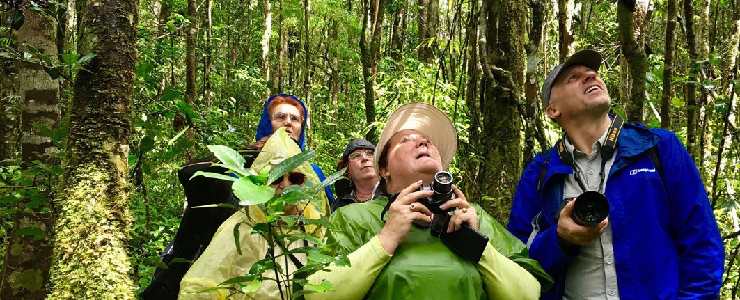 Group tours & travel experience 