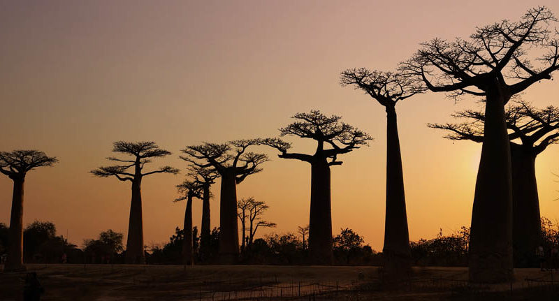 Madagascar small group tours