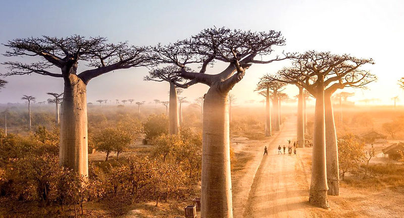 Madagascar group tours 2023