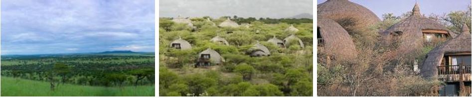 Tanzania private & group safari tours