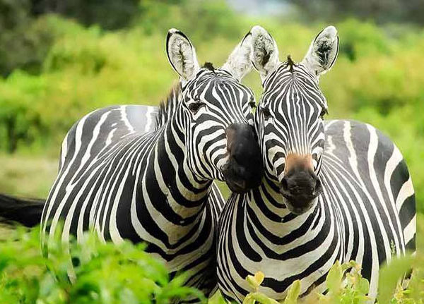 LAKE MBURO NATIONAL PARK