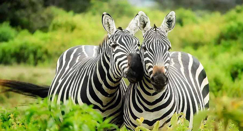 LAKE MBURO NATIONAL PARK