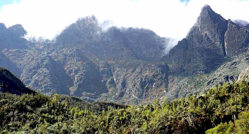 Mount-Rwenzori-MT-RWENZORI-HIKE