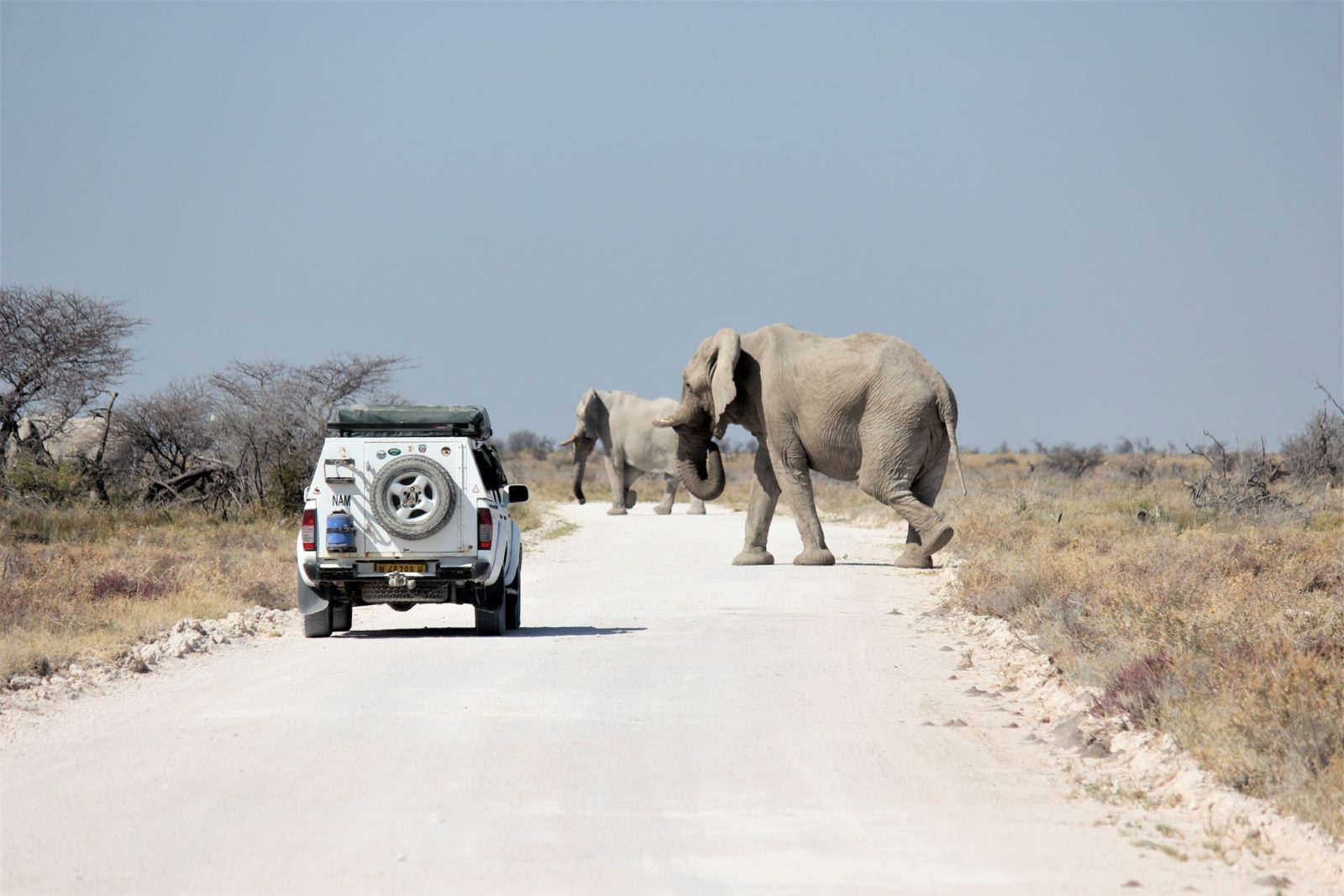 Luxury namibia tour package