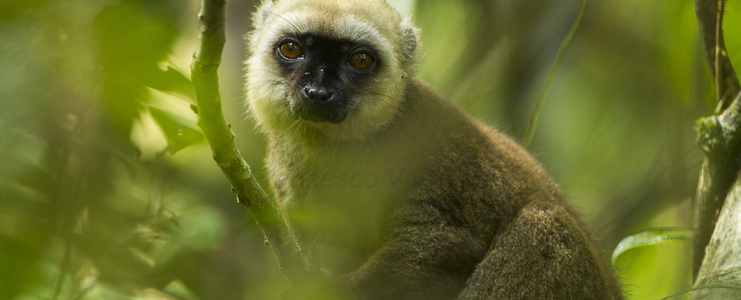 madagascar luxury tours