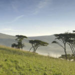 Tanzania safari tours & travel