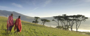 Tanzania safari tours & travel