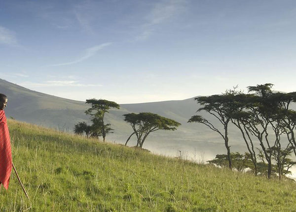 Tanzania safari tours & travel