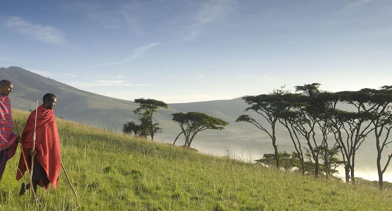 Tanzania safari tours & travel