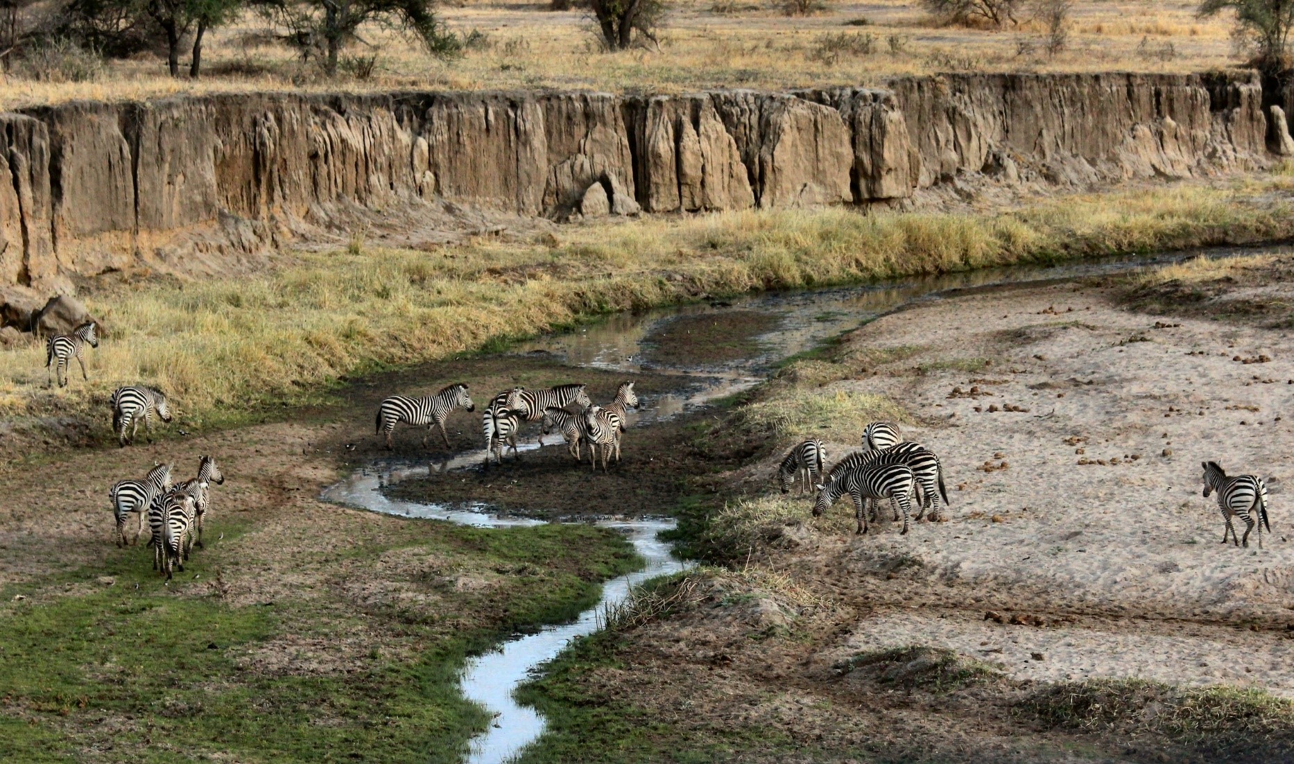 luxury Tanzania safari tours & travel