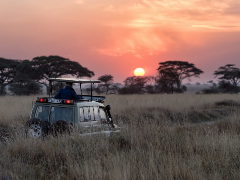 How to prepare for Tanzania wildlife safari