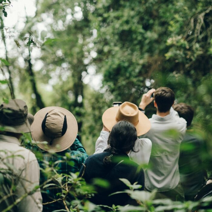 Wildlife watching Madagascar for seniors