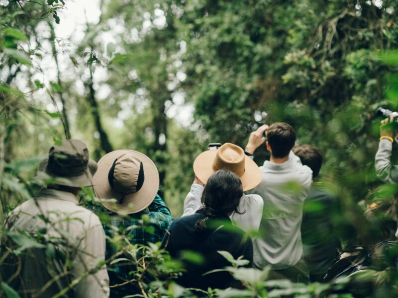 Wildlife watching Madagascar for seniors