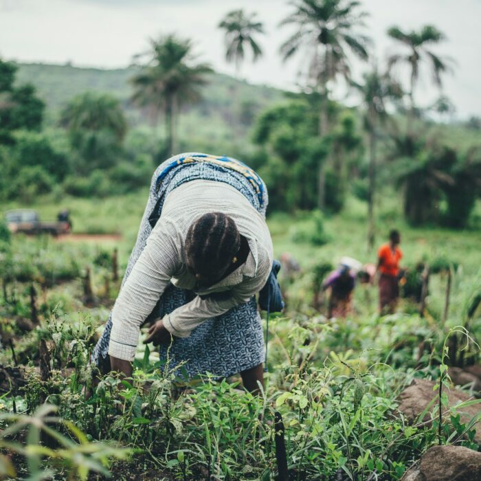 Gentle hiking Madagascar for seniors