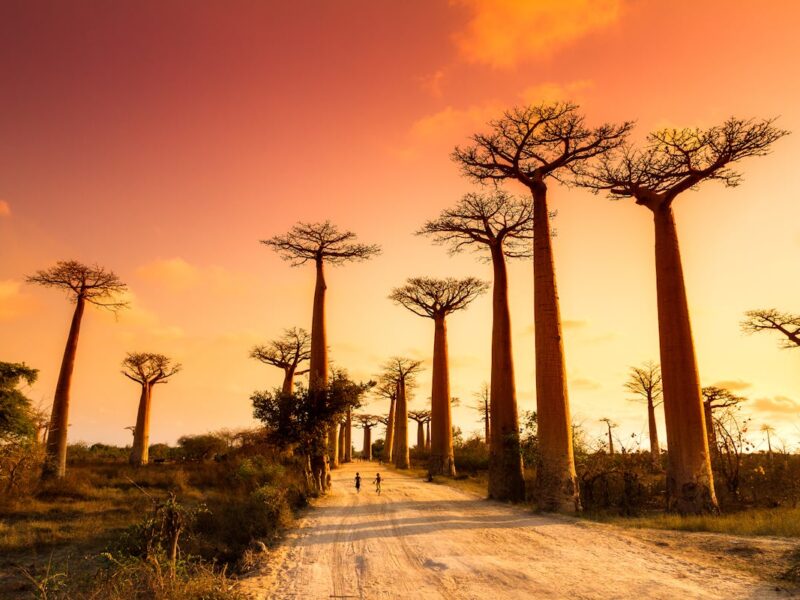 Madagascar travel guide